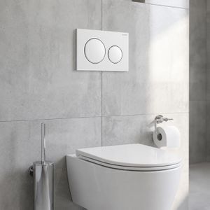Produktbild für Betätigungsplatte Geberit Sigma20, aus Kunststoff, für WC