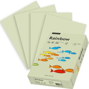 Kopierpapier Papyrus Rainbow 88042590