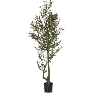 Produktbild für Kunstpflanze hJh-OFFICE Olivenbaum
