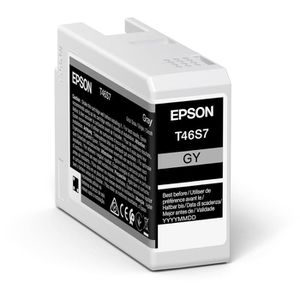 Tinte Epson T46S7 grau