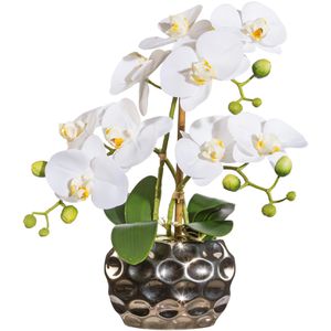 Creativ-green Kunstblume Orchidee, Phalaenopsis, Höhe in silberner 30 Böttcher – weiß, Ovalvase, cm AG