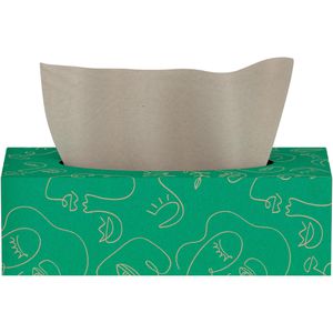 Produktbild für Taschentücher Wepa Mach m!t, Everyday, Box