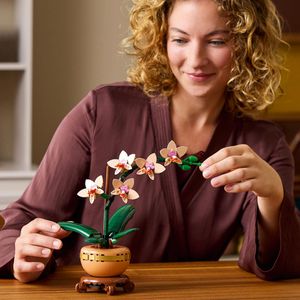 Produktbild für Klemmbausteine LEGO Botanicals 10343, ab 18 Jahre