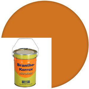 Haftgrund Branth Brantho-Korrux nitrofest