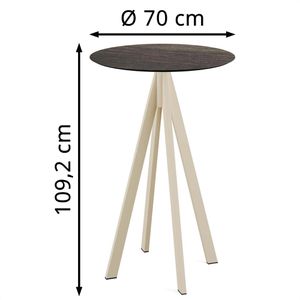 Produktbild für Stehtisch Feros 120061470, riverwashed wood
