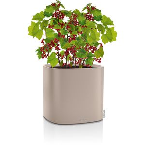 Produktbild für Übertopf Lechuza PILA Color Planter, sandbraun, 35x33x35 cm