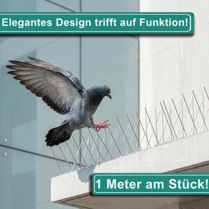 Produktbild für Vogelabwehr PRIOstahl Taubenspikes, 10 Meter