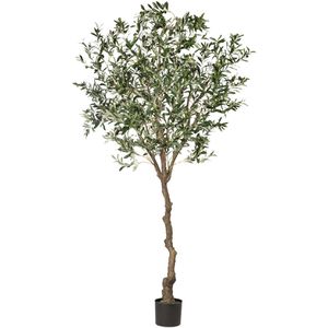 Produktbild für Kunstpflanze Creativ-green Olivenbaum