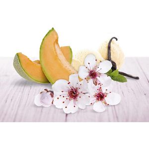 Produktbild für Raumduft Airwick Duftvase, 30 ml