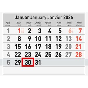 Produktbild für 5-Monatskalender Brunnen 1070281006, mit Ferienübersicht, 2026