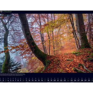 Produktbild für Bildkalender Kunth 761531, Magische Wälder der Erde, Jahr 2027