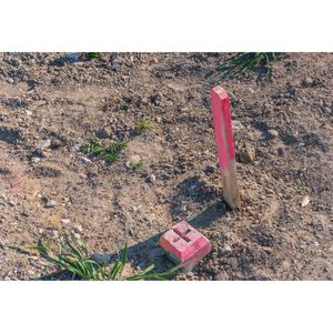 Produktbild für Markierungsspray Dupli-Color 119590, neonpink