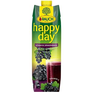 Produktbild für Saft RAUCH Happy Day Schwarze Johannisbeer