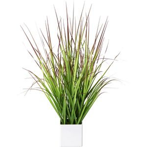Produktbild für Kunstpflanze Creativ-green Blutgras