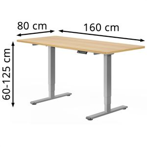 Produktbild für Schreibtisch FlexiSpot E5S, ahorn / grau