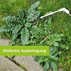 Produktbild für Grundstoff Protect-Home Permaclean Acetum, Konzentrat