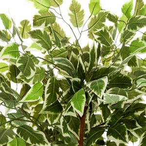 Produktbild für Kunstpflanze hJh-OFFICE Ficus