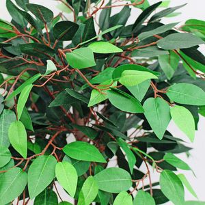 Produktbild für Kunstpflanze Decovego Ficus Benjamin
