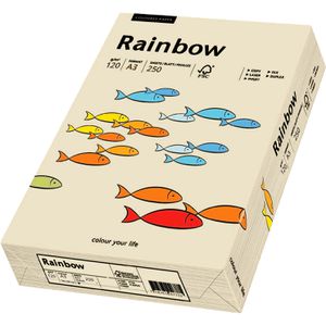 Produktbild für Kopierpapier Papyrus Rainbow 88042255