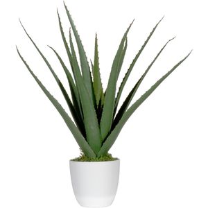 Produktbild für Kunstpflanze meet-powered-by-PAPERFLOW Aloe Vera