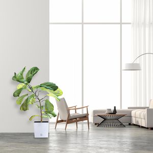 Produktbild für Übertopf Prosperplast Rato Low, weiß, 32 x 33 x 32 cm