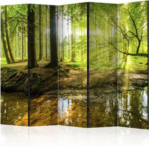 Paravent Artgeist Forest Lake II, innen, 5-teilig