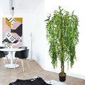 Produktbild in Größe 120