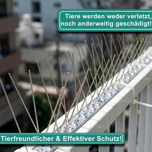 Produktbild für Vogelabwehr PRIOstahl Taubenspikes, 10 Meter