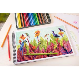 Produktbild für Buntstifte Faber-Castell Polychromos 110011
