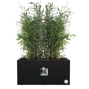 Produktbild für Pflanzkasten elho Vivo Next lang schwarz