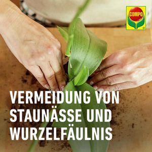Produktbild für Blumenerde Compo SANA Orchideenerde