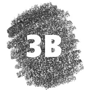 Produktbild für Bleistift Staedtler Mars Lumograph 100-3B