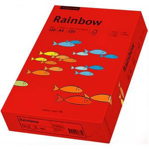 Produktbild für Kopierpapier Papyrus Rainbow 88042480