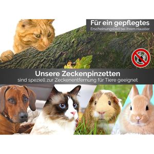 Produktbild für Zeckenzange InstrumenteNRW PI-F-052