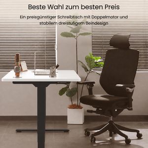 Produktbild für Schreibtisch FlexiSpot E5B, weiß / schwarz