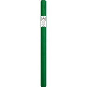 Produktbild für Seidenpapier Clairefontaine 394021C, grün