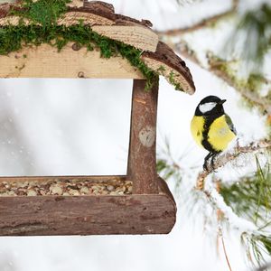 Produktbild für Vogelhaus Relaxdays 10034422, aus Holz