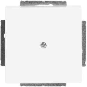 Zentralplatte Busch-Jaeger 1742-84