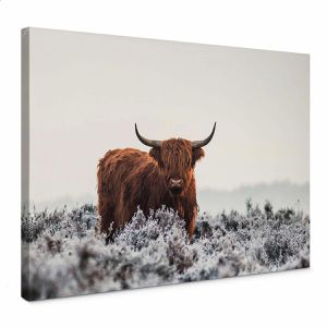 Produktbild für Wandbild AS-Creation Hochlandrind