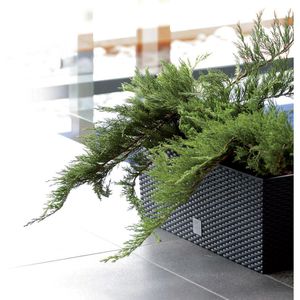 Produktbild für Blumenkasten Prosperplast Rato Case, anthrazit