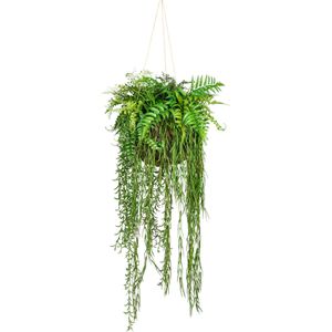 Kunstpflanze Creativ-green Dekokugel
