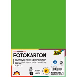 Folia Fotokarton 68010/55, 70 x 100 cm, grasgrün, 300g/m², 10 Blatt