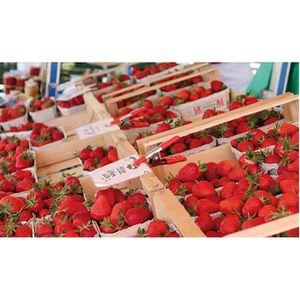 Produktbild für Federzwinge Bessey XM7EU, 75/85