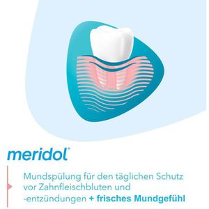 Produktbild für Mundspülung Meridol Zahnfleischschutz