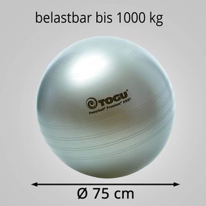 Produktbild für Gymnastikball Togu Powerball Premium ABS