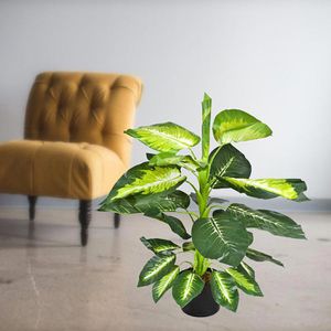 Produktbild für Kunstpflanze Decovego Dieffenbachie