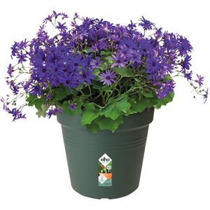 Produktbild für Pflanztopf elho Green Basics, 6,5 Liter