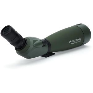 Produktbild für Spektiv Celestron Regal M2 22-67x100mm