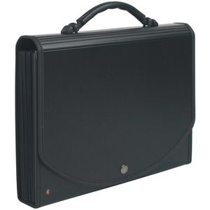 Produktbild für Fächermappe Exacompta 55934E Exactive Exacase, A4