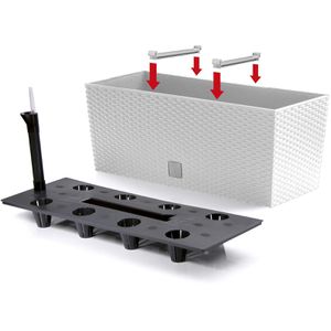 Produktbild für Blumenkasten Prosperplast Rato Case, weiß